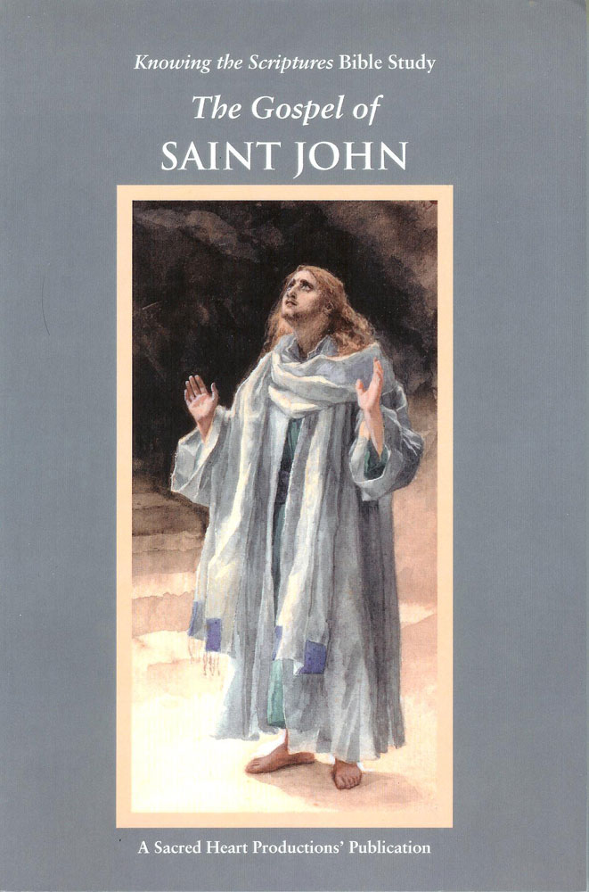 The Gospel of Saint John Bible Study book